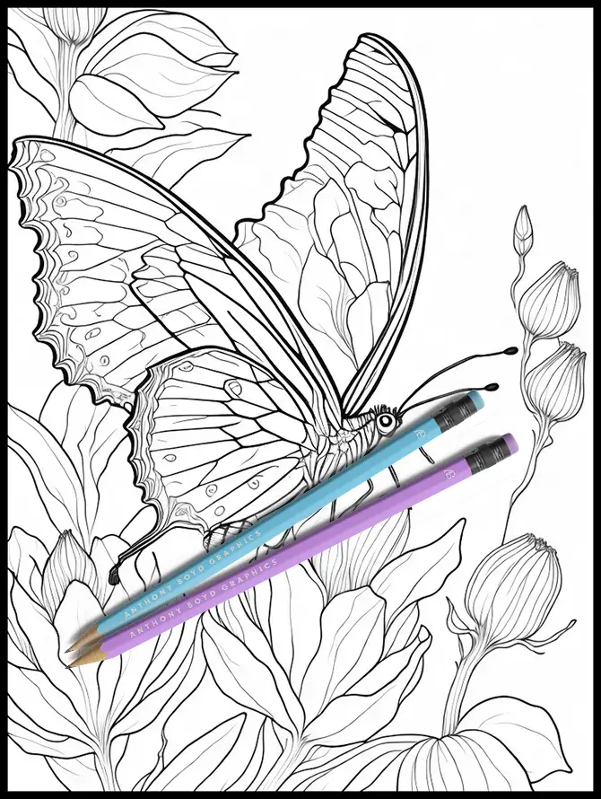 Butterfly Design 1